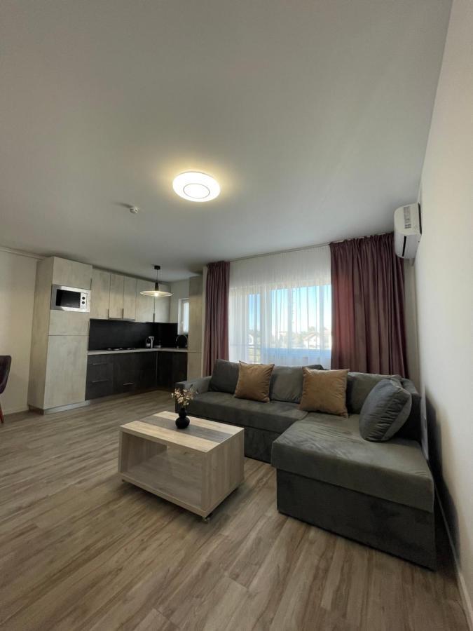 Comfort & Luxury Apartaments Pnmresidence Temešvár Exteriér fotografie