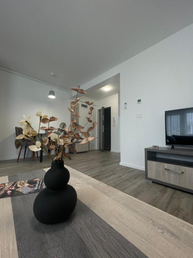 Comfort & Luxury Apartaments Pnmresidence Temešvár Exteriér fotografie