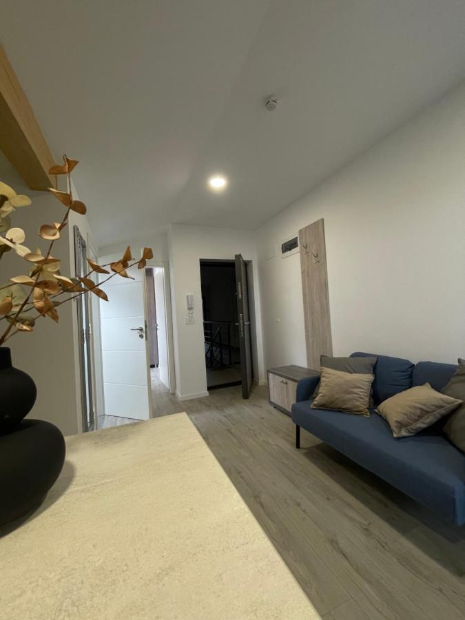 Comfort & Luxury Apartaments Pnmresidence Temešvár Exteriér fotografie
