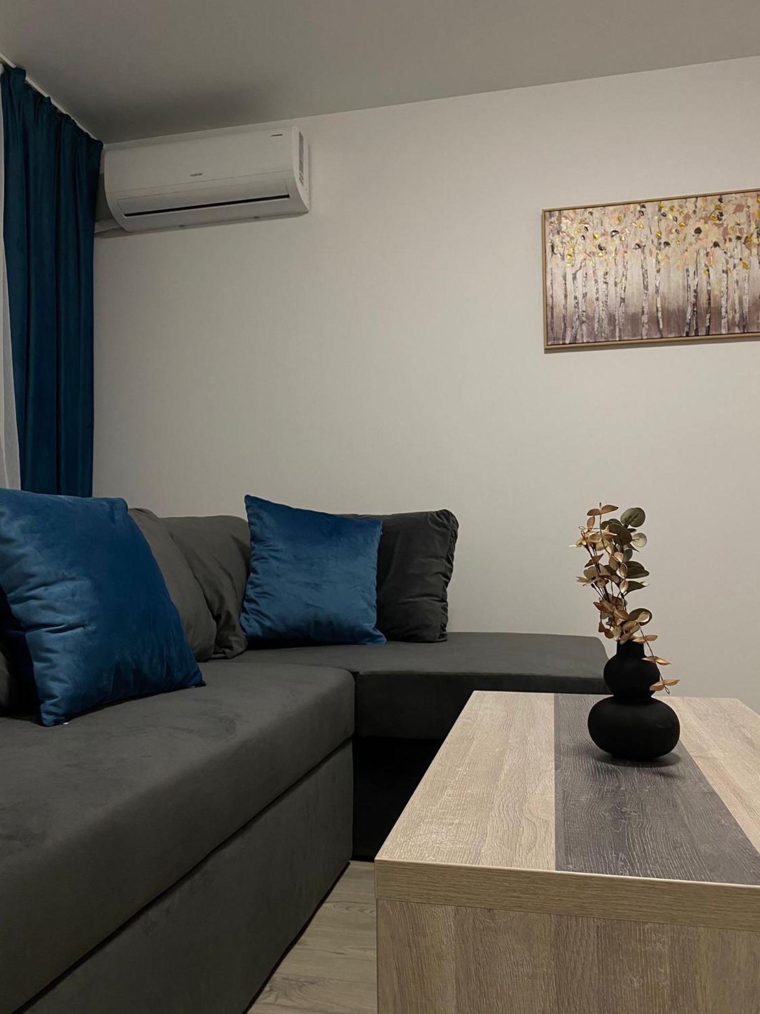 Comfort & Luxury Apartaments Pnmresidence Temešvár Exteriér fotografie