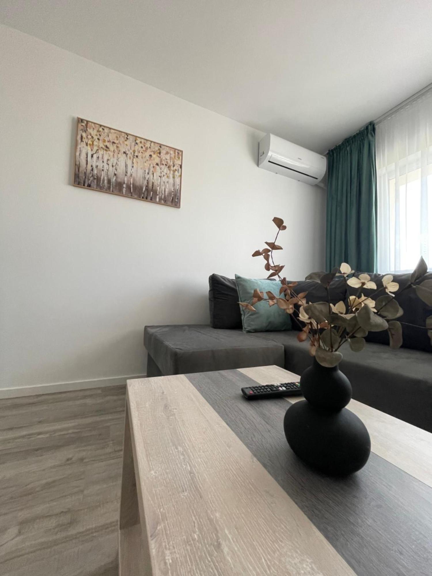Comfort & Luxury Apartaments Pnmresidence Temešvár Exteriér fotografie