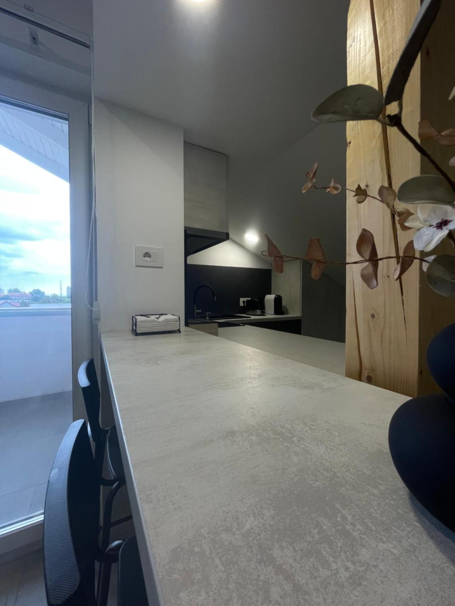 Comfort & Luxury Apartaments Pnmresidence Temešvár Exteriér fotografie