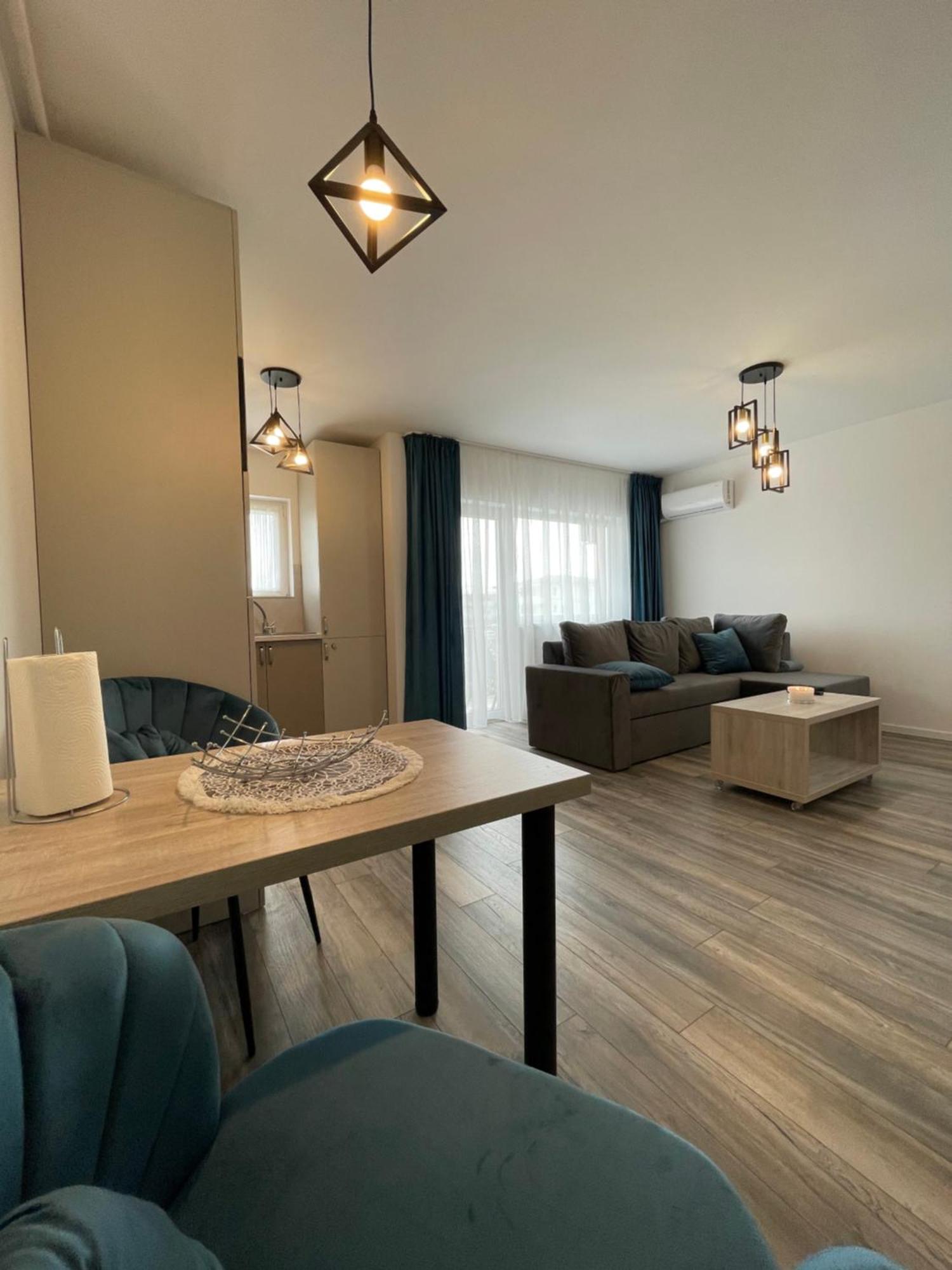 Comfort & Luxury Apartaments Pnmresidence Temešvár Exteriér fotografie