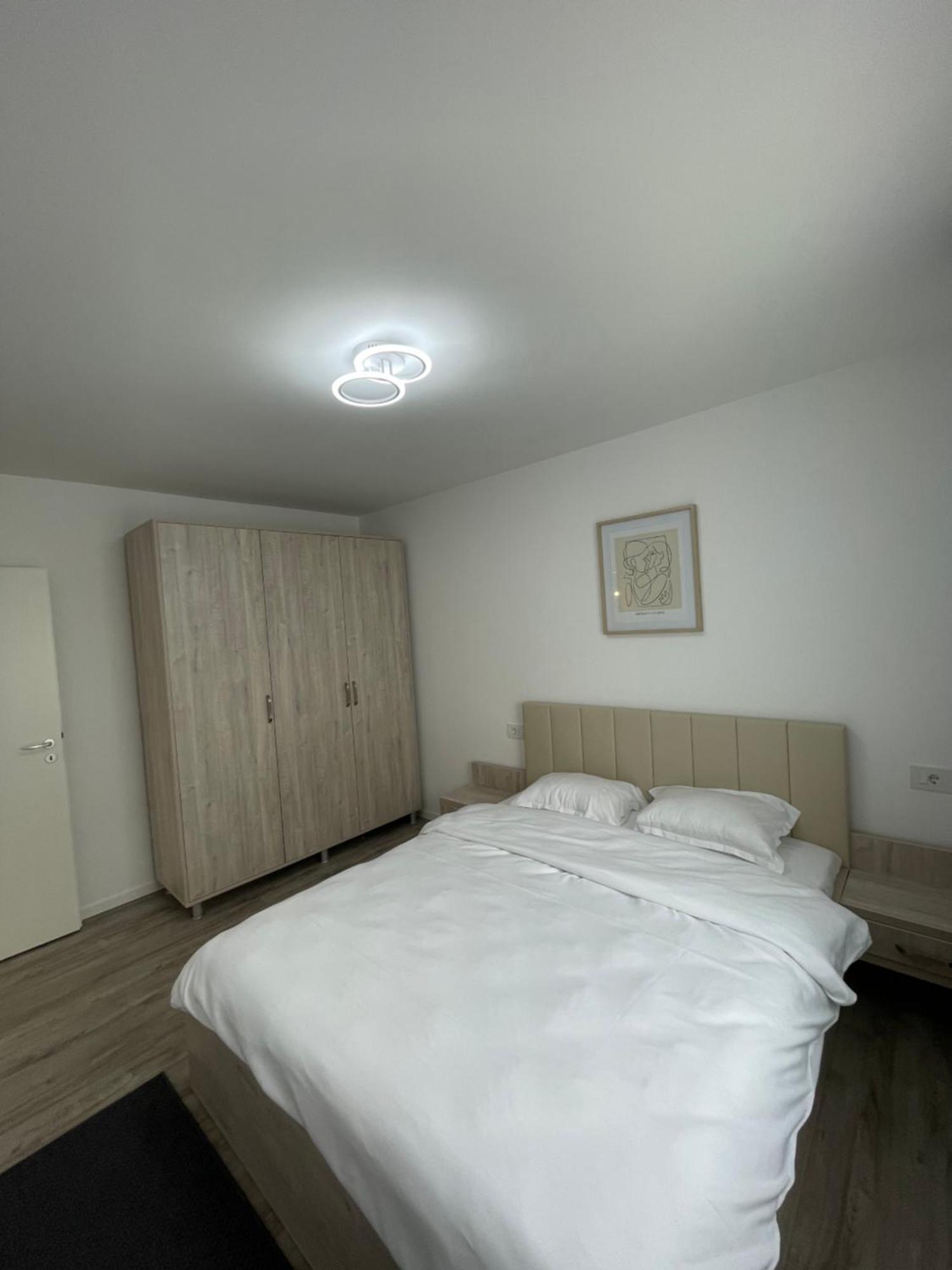 Comfort & Luxury Apartaments Pnmresidence Temešvár Exteriér fotografie